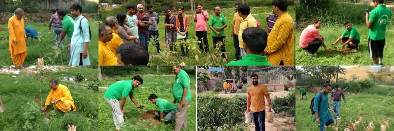 Why We Plant Trees: Seva as Spiritual Practice